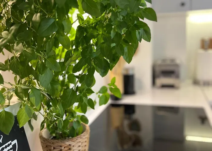 Apartman Wyjatkowy Blisko Zoo *